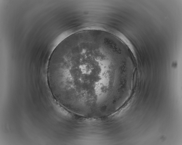 X0000091361002200708171520
