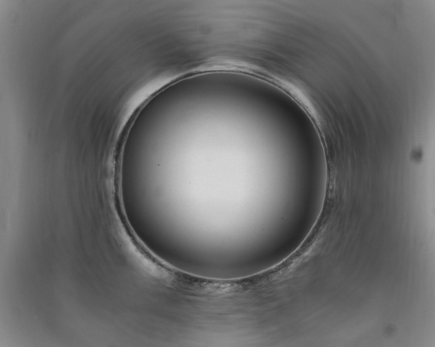X0000091361003200708171520