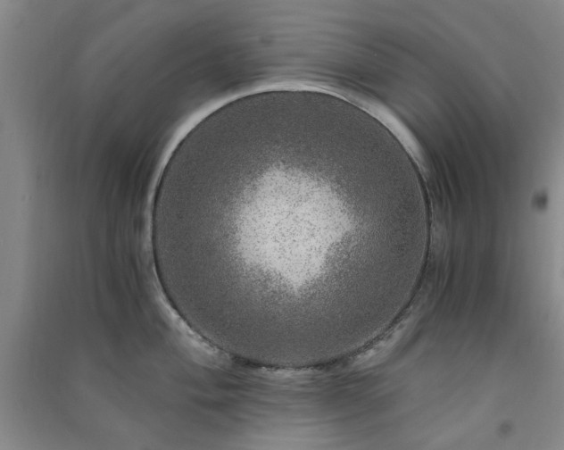 X0000091361004200708171520