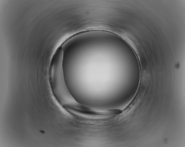 X0000091361005200708171520