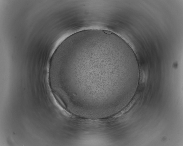 X0000091361006200708171520