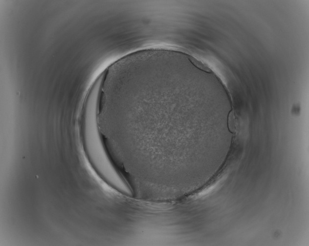 X0000091361007200708171520