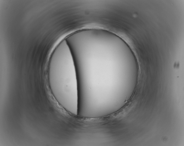 X0000091361008200708171520