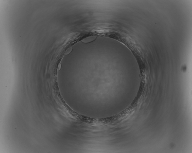 X0000091361009200708171519