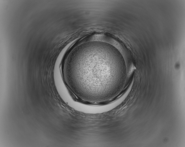 X0000091361010200708171519