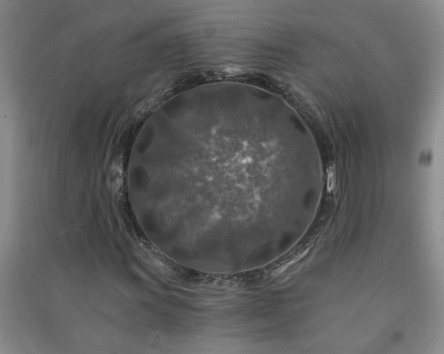 X0000091361011200708171519