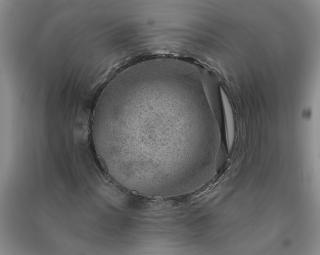 X0000091361012200708171519