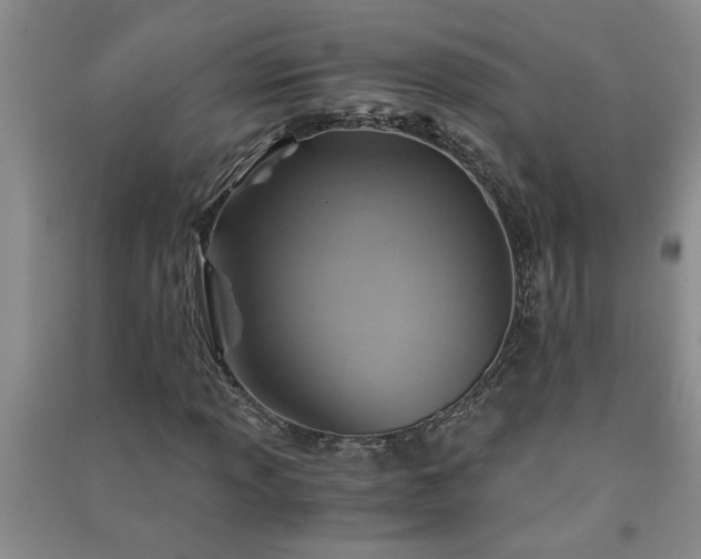 X0000091361013200708171519
