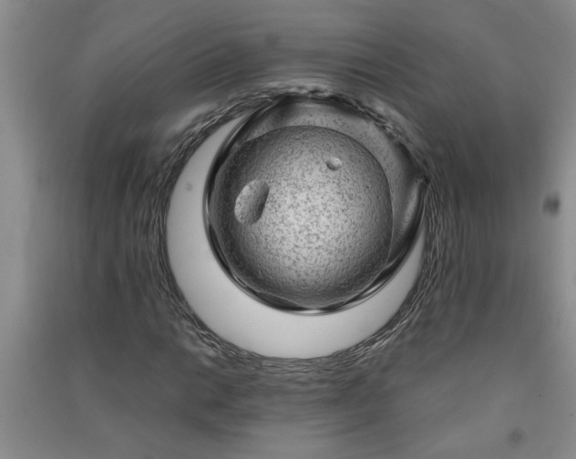 X0000091361014200708171519