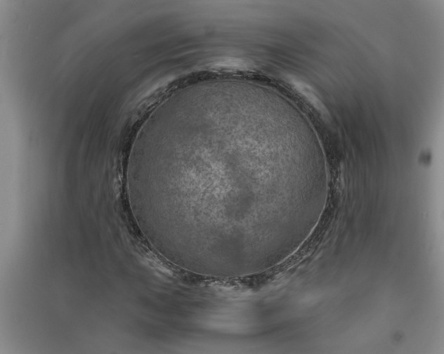 X0000091361015200708171519