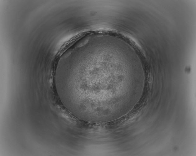 X0000091361016200708171519