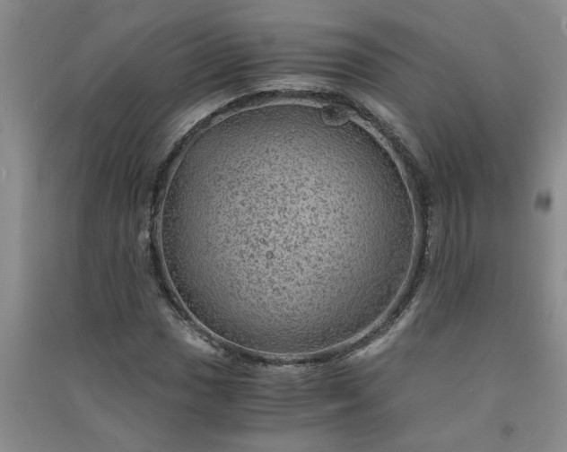 X0000091361017200708171519