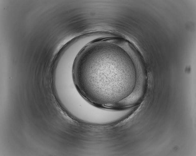 X0000091361018200708171519