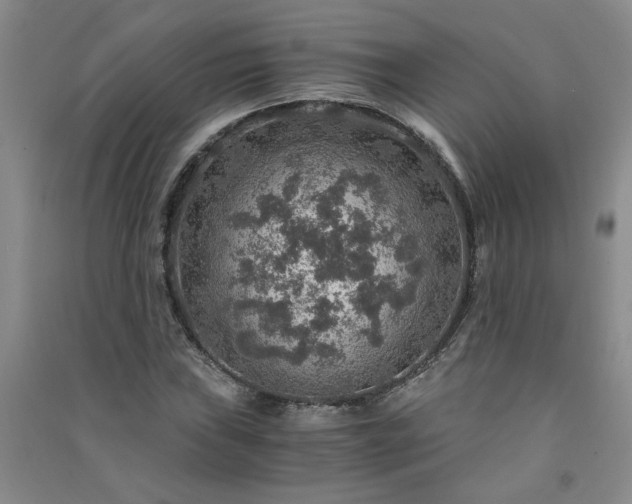 X0000091361019200708171519