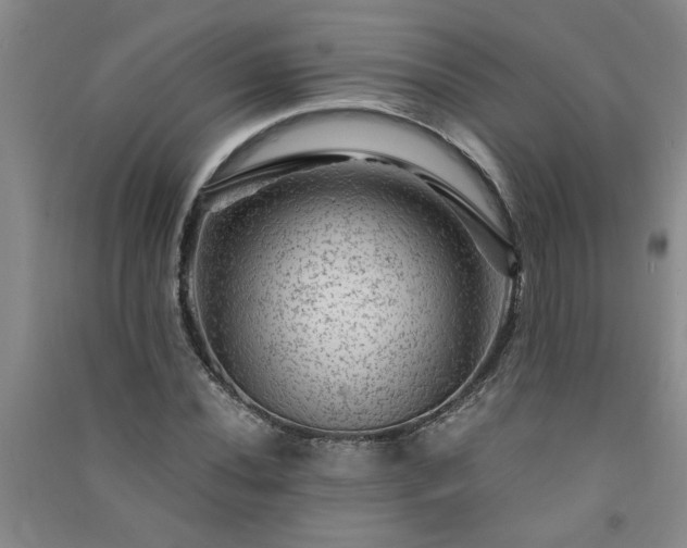 X0000091361020200708171519