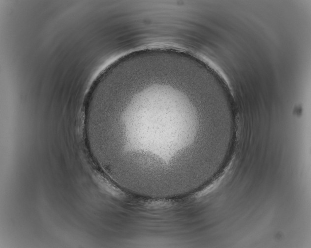 X0000091361021200708171519