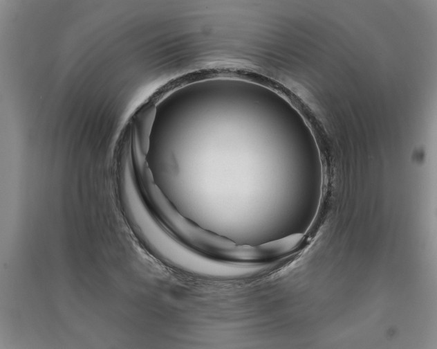 X0000091361022200708171519