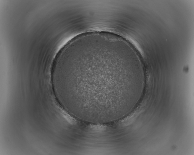 X0000091361023200708171519