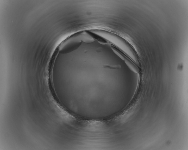 X0000091361024200708171519