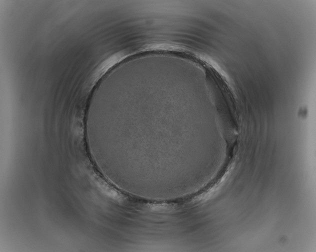 X0000091361025200708171519