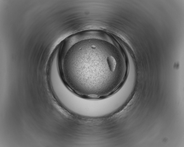 X0000091361026200708171519