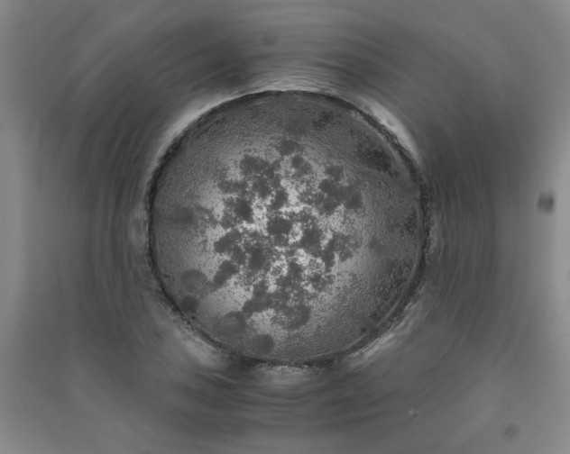 X0000091361027200708171519