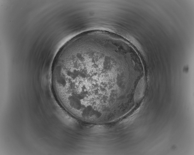 X0000091361028200708171519