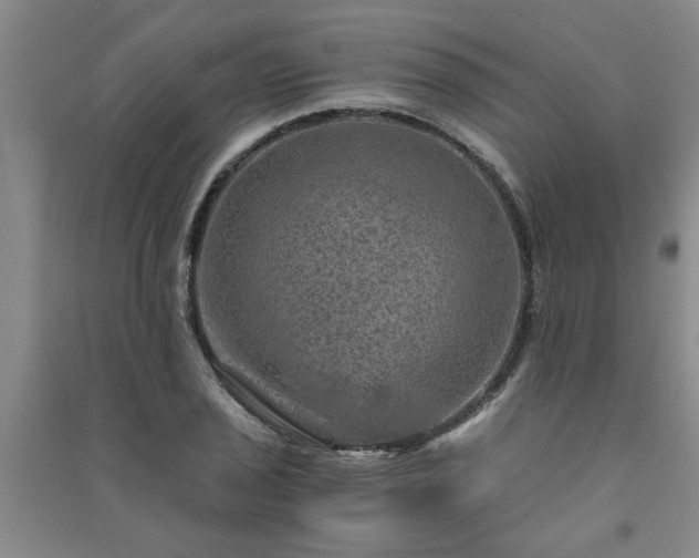 X0000091361029200708171519