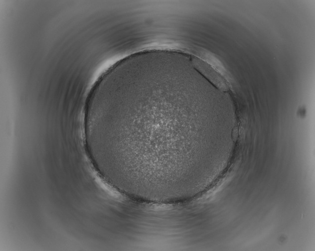 X0000091361030200708171519