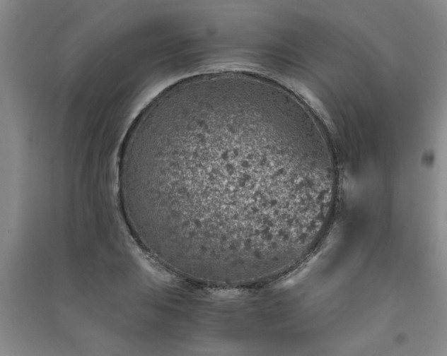 X0000091361031200708171519