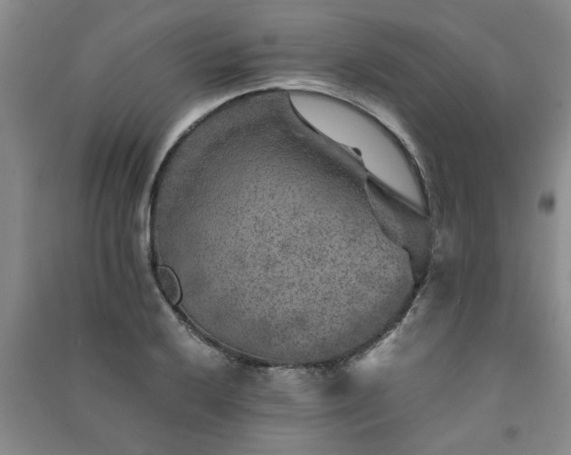 X0000091361032200708171519