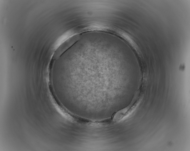 X0000091361034200708171519