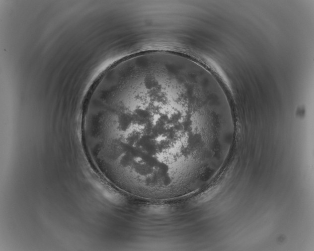 X0000091361035200708171519
