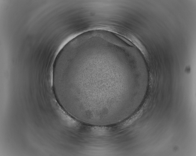 X0000091361036200708171519
