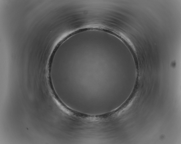 X0000091361037200708171519