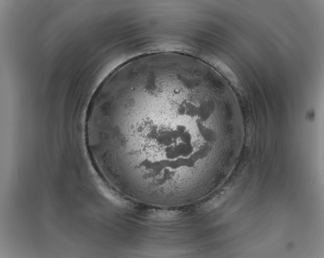 X0000091361039200708171519