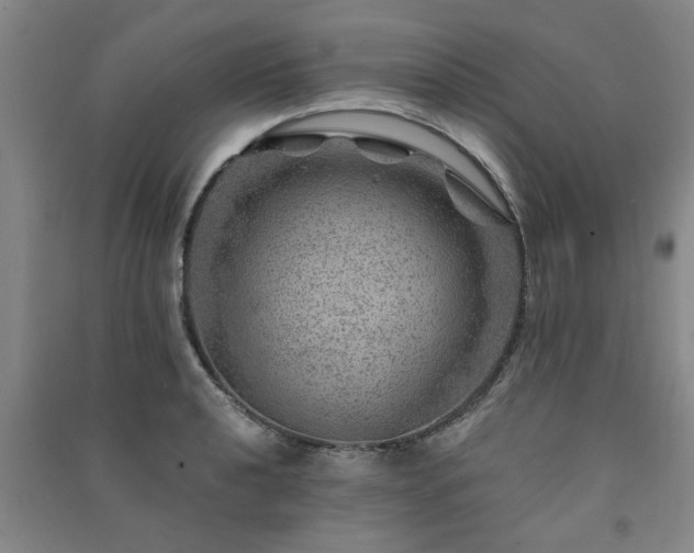 X0000091361040200708171519