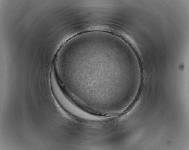 X0000091361041200708171519