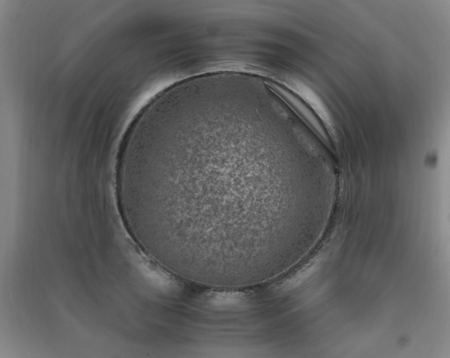 X0000091361043200708171519