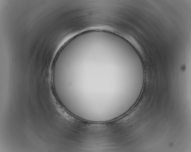 X0000091361044200708171519