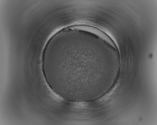X0000091361045200708171519