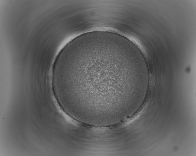 X0000091361046200708171519