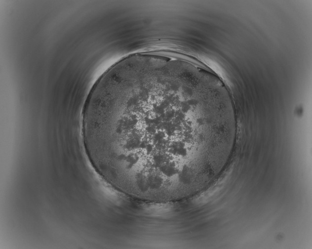 X0000091361047200708171519