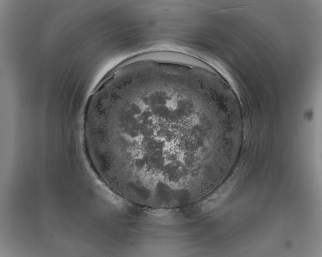 X0000091361048200708171520