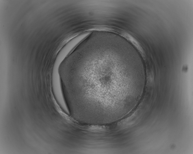 X0000091361049200708171520