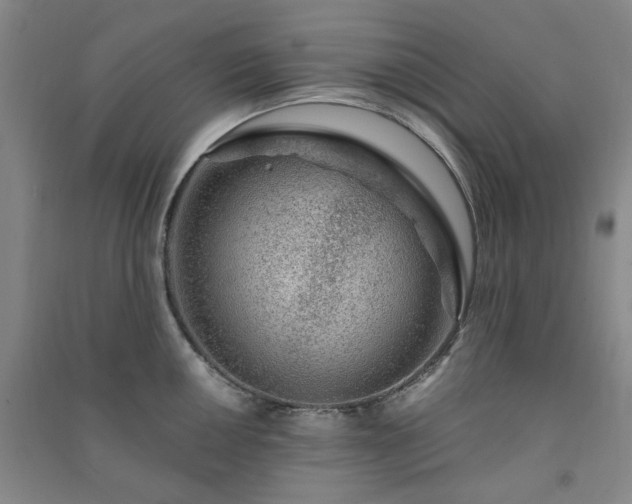 X0000091361050200708171520