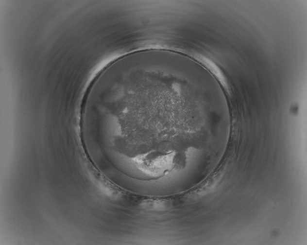 X0000091361051200708171520