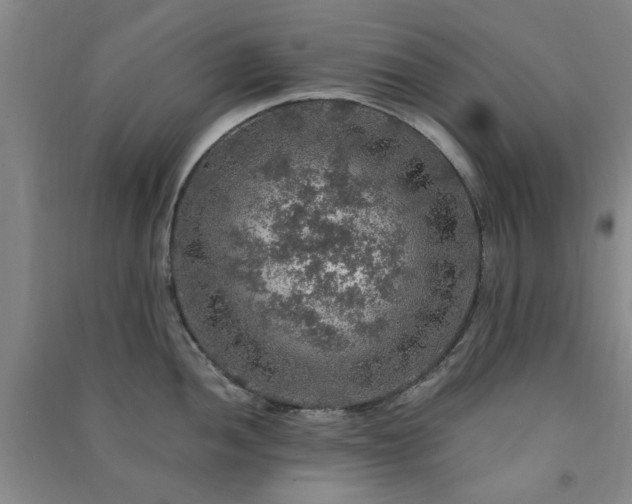 X0000091361052200708171520