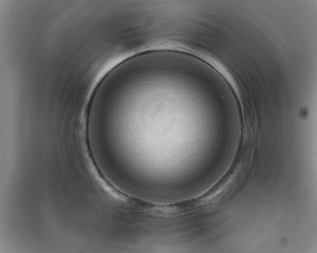 X0000091361053200708171520