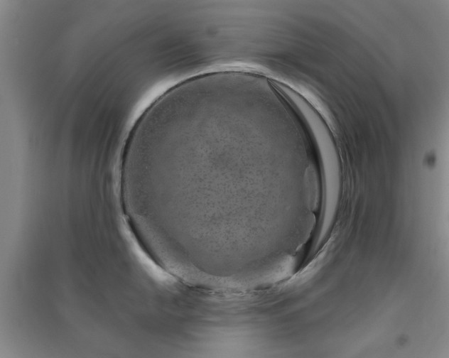 X0000091361054200708171520
